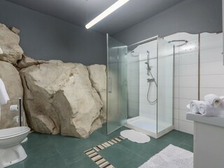 Villa Labin Caratteristiche 24