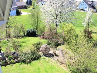 Blick vom Balkon Wohnzimmer