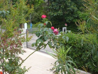 Appartamento per vacanze Šilo Registrazione all'aperto 12