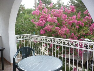 Appartamento per vacanze Šilo Caratteristiche 36