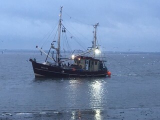 Ein Fischkutter auf dem Jadebusen