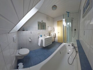Holiday apartment Friedrichshafen Bathroom 9