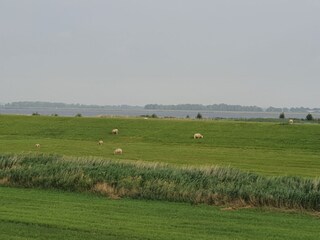 Casa per le vacanze Lemmer Ambiente 12