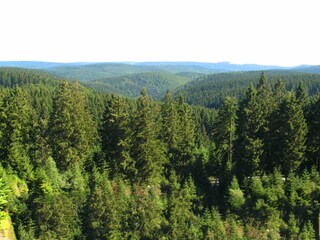 Apartment Frauenwald Environment 31