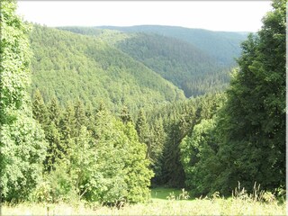 Appartement Frauenwald Omgeving 29