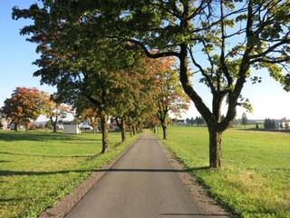 Appartement Frauenwald Environnement 17