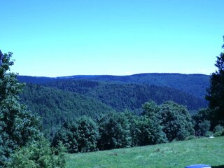 Apartment Frauenwald Umgebung 26