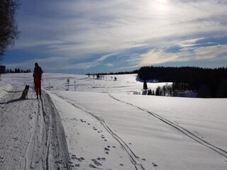 Appartamento Frauenwald Ambiente 19