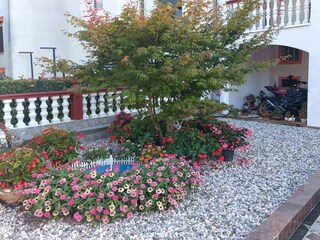 Vakantieappartement Porec Buitenaudio-opname 6