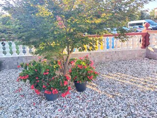 Vakantieappartement Porec Buitenaudio-opname 7