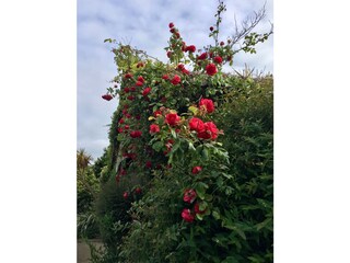 Casa per le vacanze Plogoff Registrazione all'aperto 5