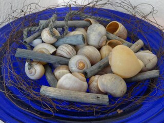 Appartamento per vacanze Carolinensiel Caratteristiche 20