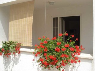 Appartamento per vacanze Porec Registrazione all'aperto 8