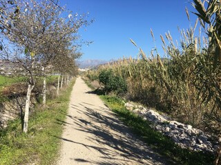 Appartamento per vacanze Torrox Costa Ambiente 14