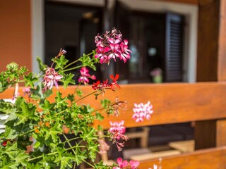 Casa per le vacanze Pula Ambiente 21