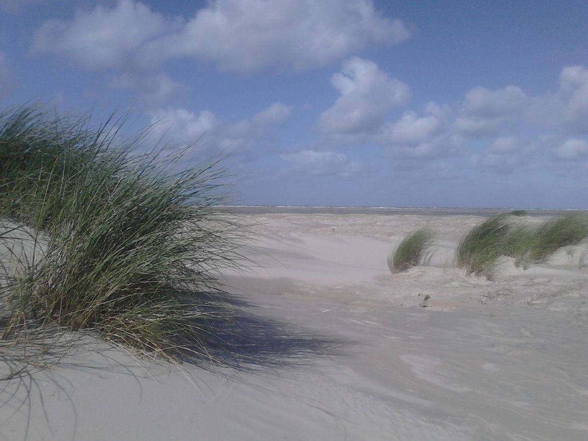 Ferienwohnung Strandhus Alfonso Urlaub mit Hund , Borkum, Herr