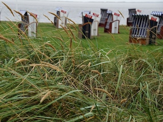 Strandkorb
