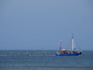 Ferienwohnung Norderney Umgebung 14