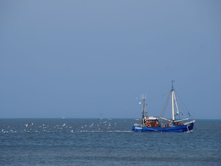 Ferienwohnung Norderney Umgebung 17