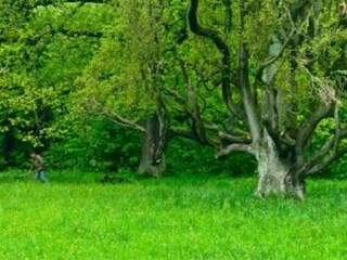 Apartamento Leinatal Entorno 25