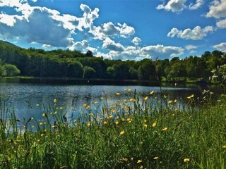 Apartamento Leinatal Entorno 16