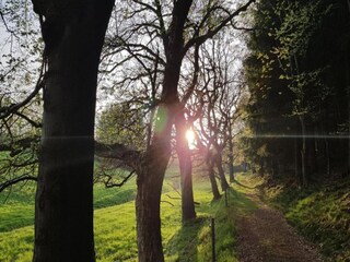 Apartment Leinatal Umgebung 18