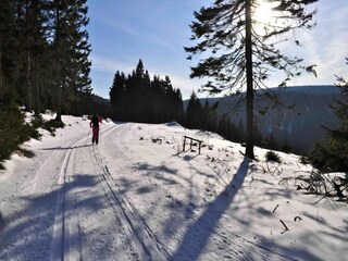 Apartamento Leinatal Entorno 28