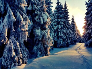 Apartamento Leinatal Entorno 29