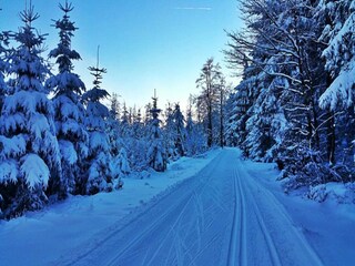 Apartment Leinatal Environment 22