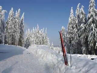 Appartement Leinatal Environnement 26
