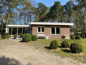 Vakantiehuis Vrijstaande bungalow met bubbelbad, zonnige serre - Ootmarsum - image1