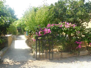 Villa San Lorenzo de Balafia Buitenaudio-opname 10