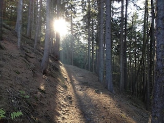 Ferienhaus Wernigerode Umgebung 27