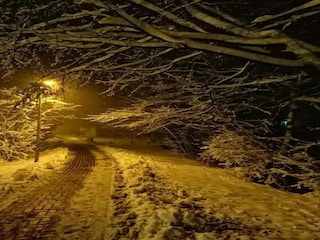 Ferienhaus Wernigerode Umgebung 33