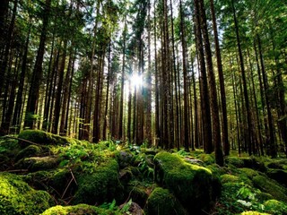 Casa de vacaciones Wernigerode Entorno 34