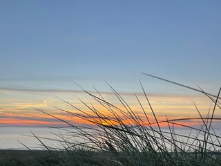 Appartamento per vacanze Callantsoog Ambiente 23