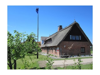 Gemütliche Ferienwohnung unter Reetdach an der Ostsee