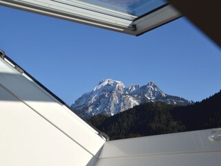 Blick vom Küchenfenster
