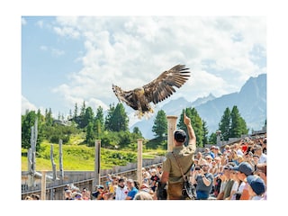 Ferienwohnung Ramsau im Zillertal Umgebung 13