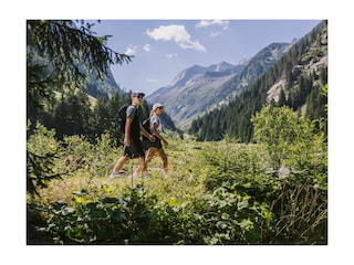 Ferienwohnung Ramsau im Zillertal Umgebung 16