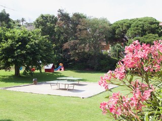 Playground for children and table tennis