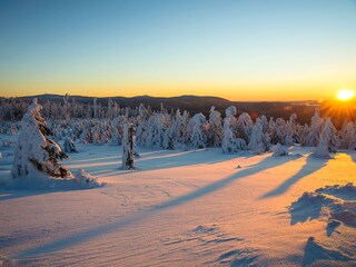 Maison de vacances Hahnenklee Enregistrement extérieur 10