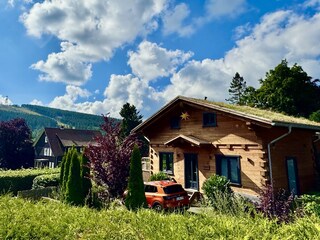 Casa per le vacanze Hahnenklee Registrazione all'aperto 15