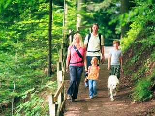 Maison de vacances Hahnenklee Environnement 21