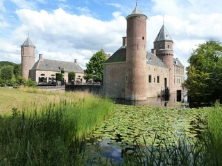 Appartamento per vacanze Oostkapelle Caratteristiche 30