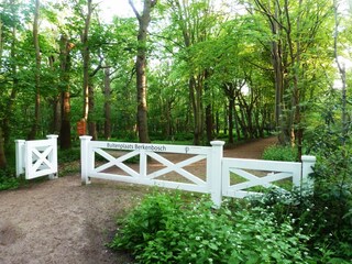 Appartamento per vacanze Oostkapelle Caratteristiche 36