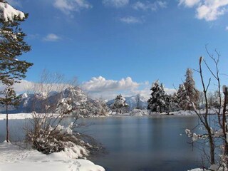 Chalet Embrun Environnement 20