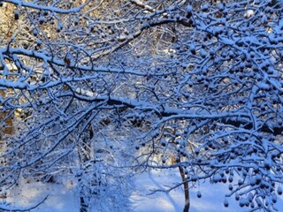 Chalet Embrun Registrazione all'aperto 9