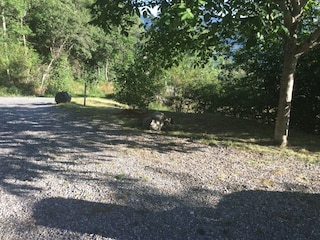 Chalet Embrun Außenaufnahme 9