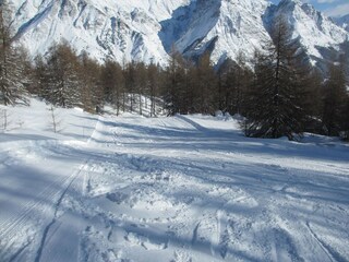 Chalet Embrun Environnement 39